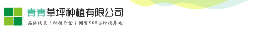 凯发网站是多少
